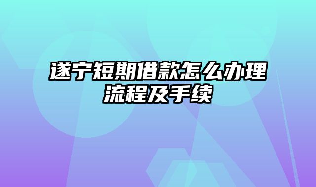 遂宁短期借款怎么办理流程及手续