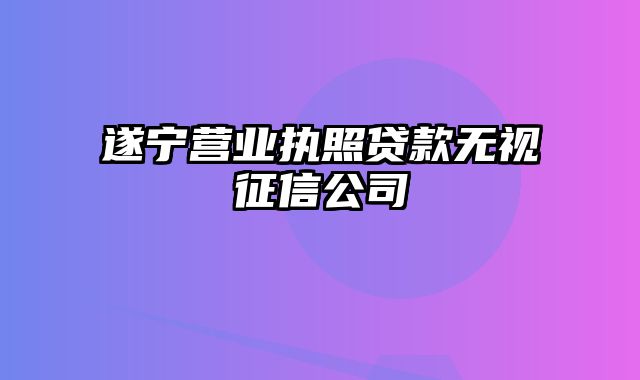 遂宁营业执照贷款无视征信公司