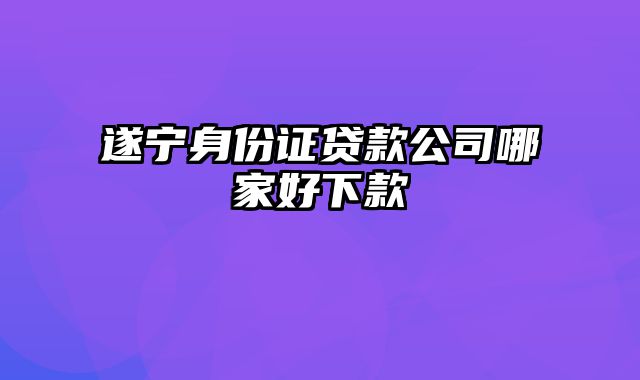 遂宁身份证贷款公司哪家好下款