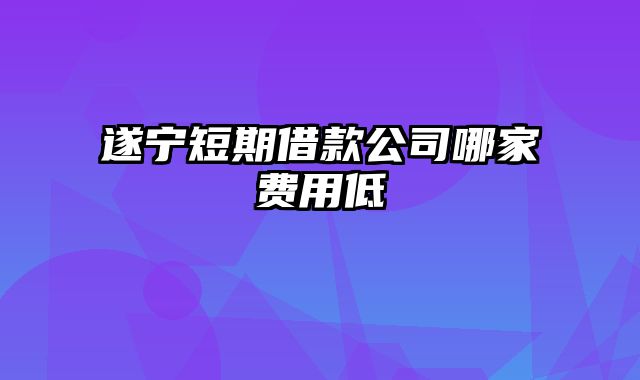 遂宁短期借款公司哪家费用低