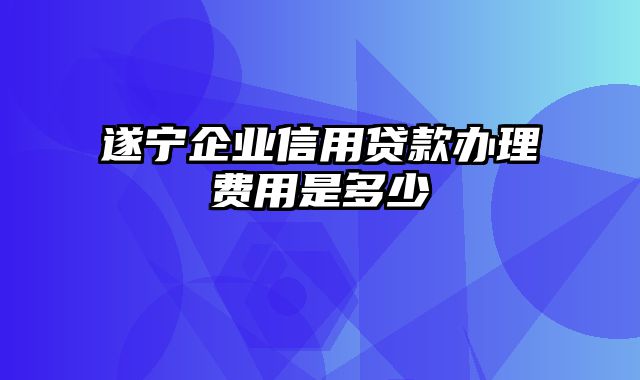 遂宁企业信用贷款办理费用是多少