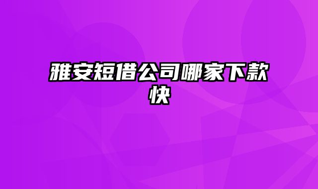 雅安短借公司哪家下款快