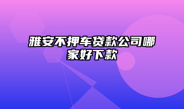 雅安不押车贷款公司哪家好下款