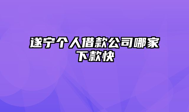 遂宁个人借款公司哪家下款快