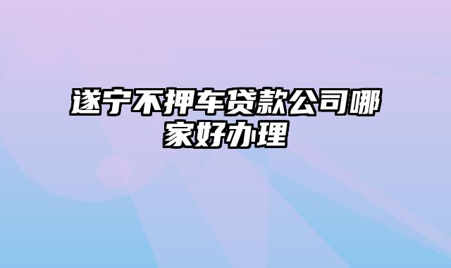 遂宁不押车贷款公司哪家好办理