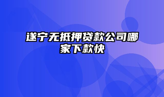 遂宁无抵押贷款公司哪家下款快