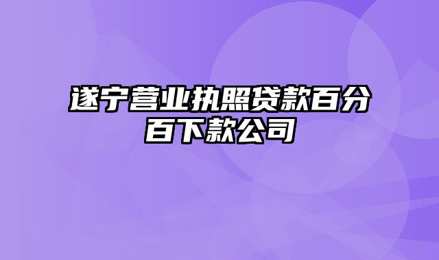 遂宁营业执照贷款百分百下款公司