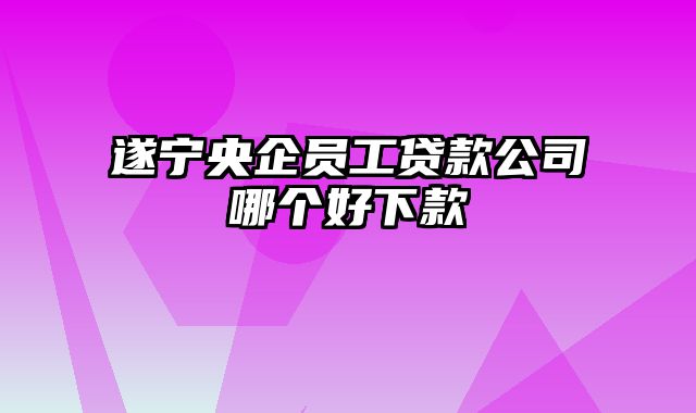 遂宁央企员工贷款公司哪个好下款