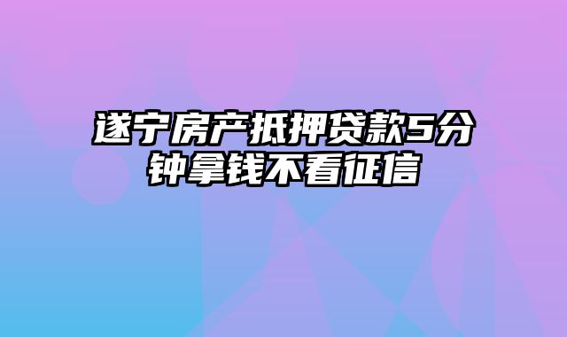 遂宁房产抵押贷款5分钟拿钱不看征信