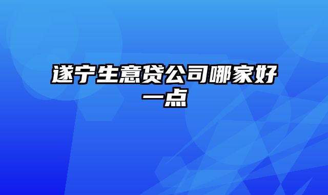 遂宁生意贷公司哪家好一点