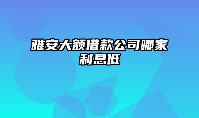 雅安大额借款公司哪家利息低