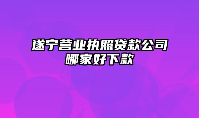 遂宁营业执照贷款公司哪家好下款