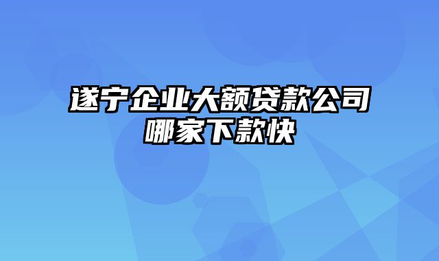 遂宁企业大额贷款公司哪家下款快