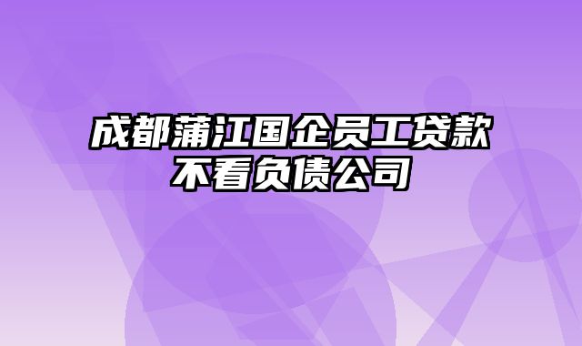 成都蒲江国企员工贷款不看负债公司