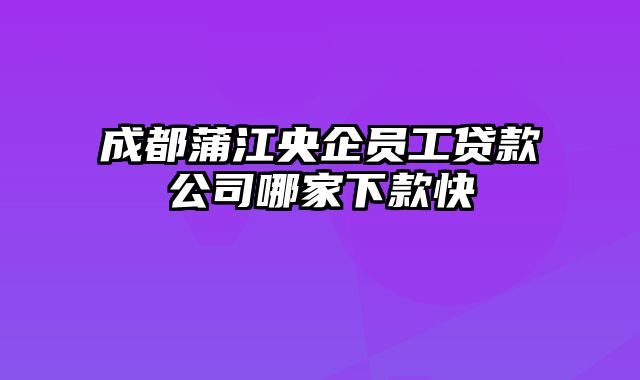 成都蒲江央企员工贷款公司哪家下款快