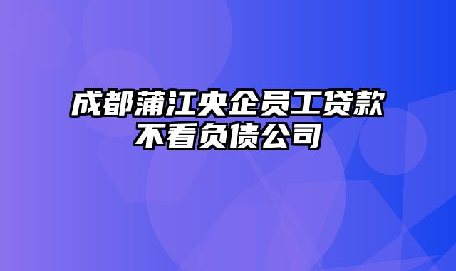 成都蒲江央企员工贷款不看负债公司